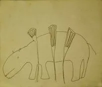 Hippopotamus