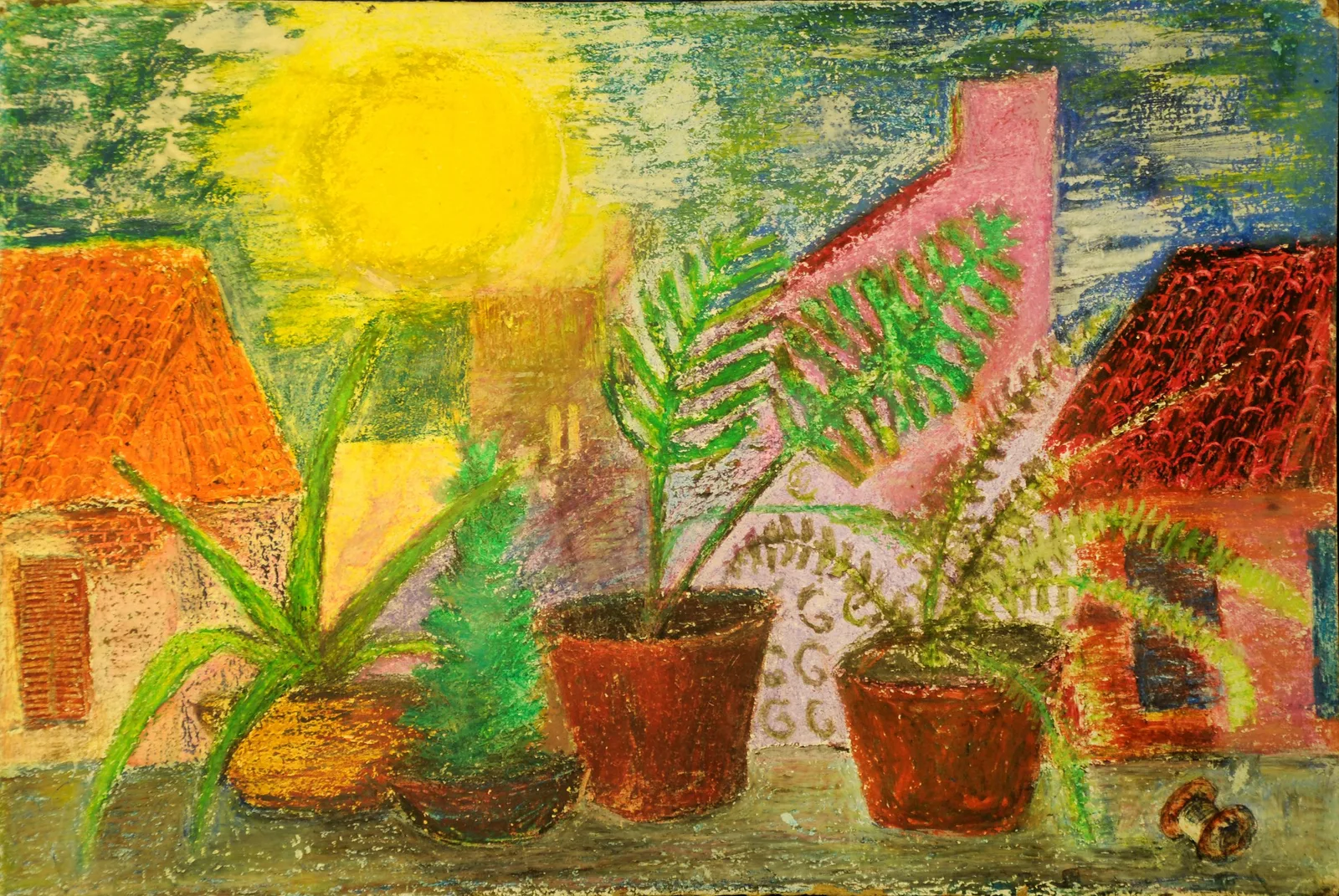 Potted Plants
